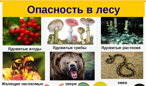 Опасные животные в лесу