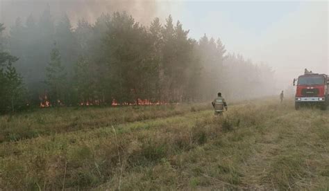 Опасные последствия сахарного пожара