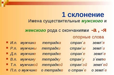 Описание и особенности 1 склонения