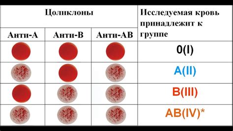 Определение группы крови