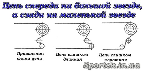 Определение длины новой цепи