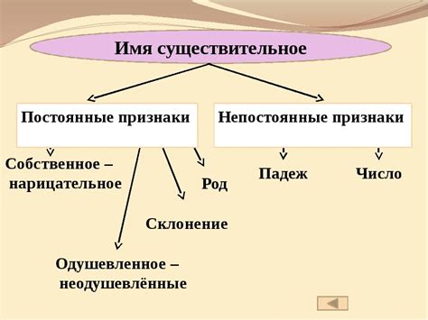 Определение и признаки существительного