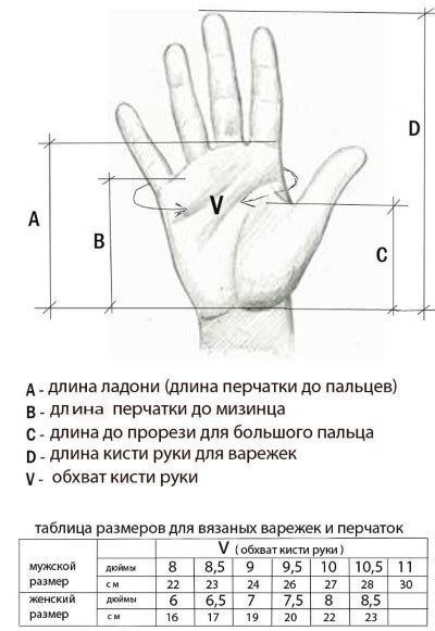 Определение обхвата запястья