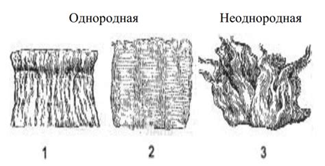 Определите тип шерсти