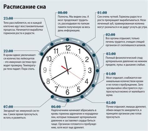 Оптимальное время сна для взрослых