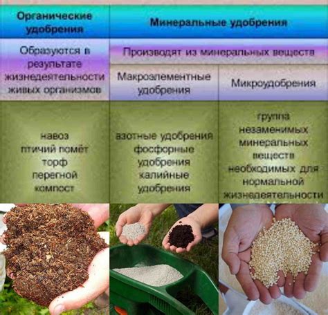 Органические и минеральные удобрения