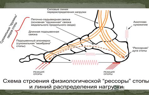 Осложнения при отсутствии лечения сильной боли в пятке