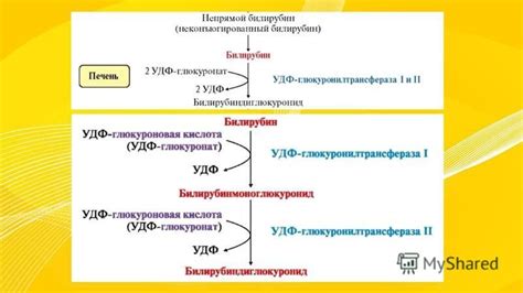 Осложнения при повышении билирубина