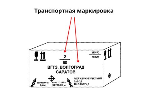 Осмотр корпуса и маркировки