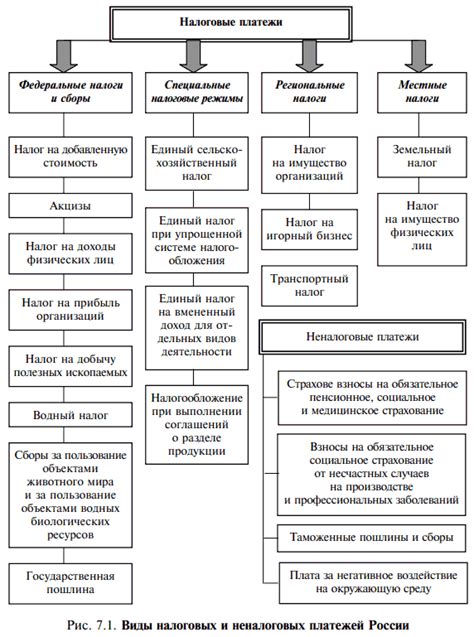 Основные виды налогов и сборов