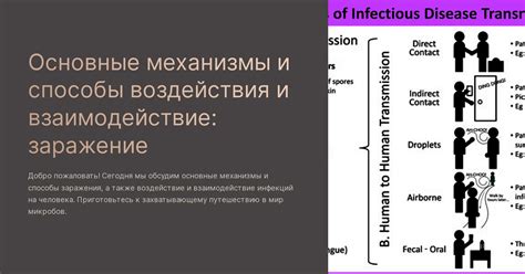 Основные механизмы воздействия