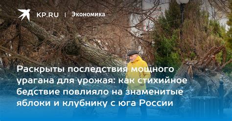 Основные последствия для урожая