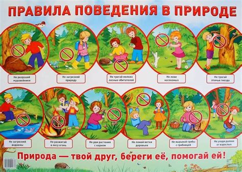 Основные правила поведения на природе