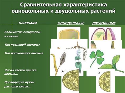 Основные признаки синантропов