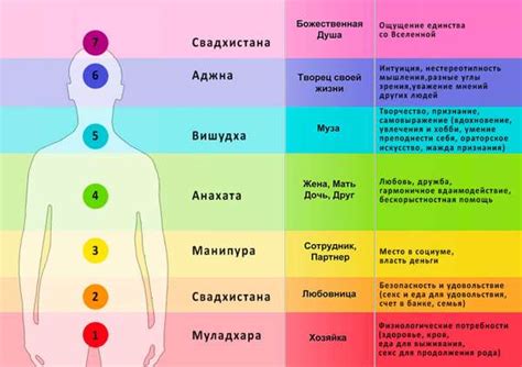 Основные принципы ауры