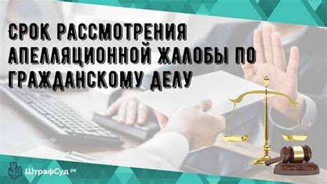 Основные принципы выражения жалобы