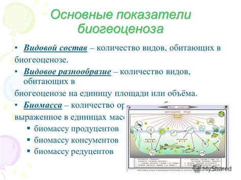 Основные принципы коренного биогеоценоза