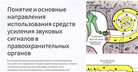 Основные принципы усиления звука