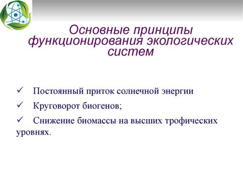 Основные принципы функционирования