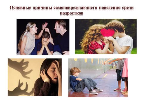 Основные причины поведения