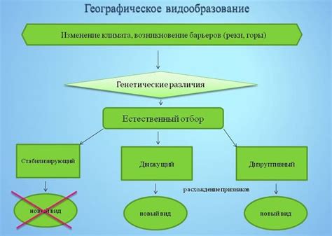 Основные причины формирования