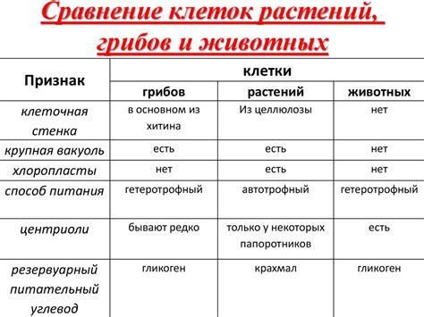 Основные различия и сходства