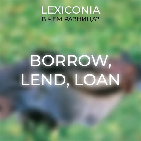 Основные различия между lend и borrow