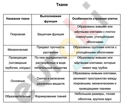 Основные структуры и их функции