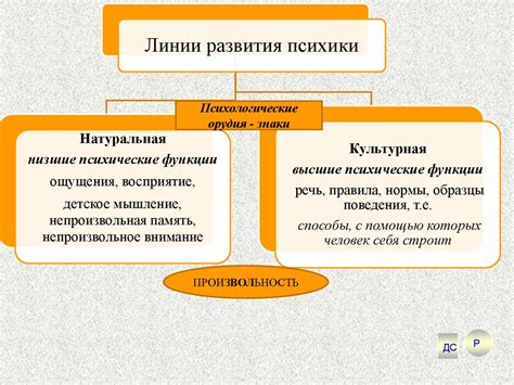 Основные характеристики сферы и области деятельности