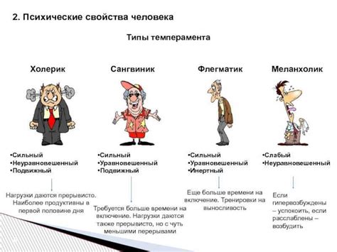 Основные черты сангвинического типа темперамента