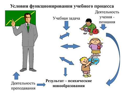 Основные этапы обучения и практики