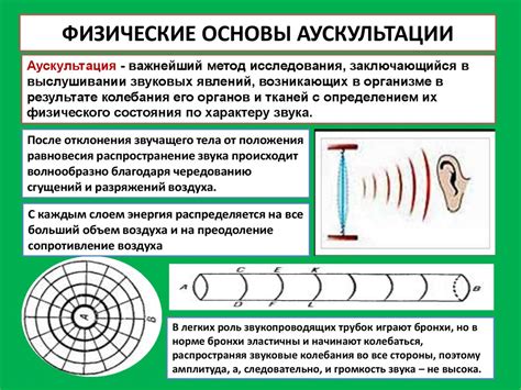 Основы аускультации