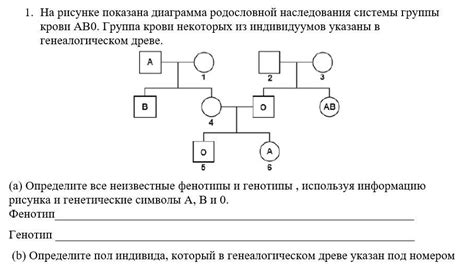 Особенности взятия крови на родословной гонорар