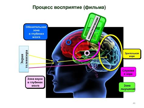 Особенности восприятия мира