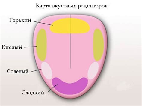 Особенности каждого вкуса