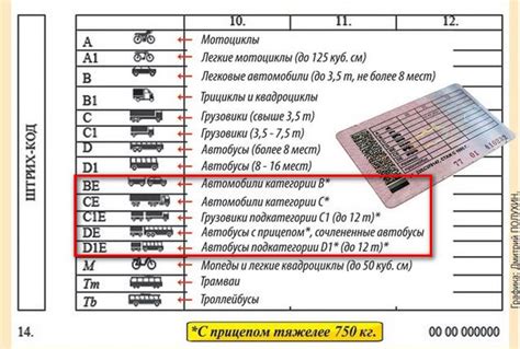 Особенности категории ВЕ