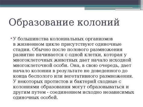 Особенности колониальных организмов