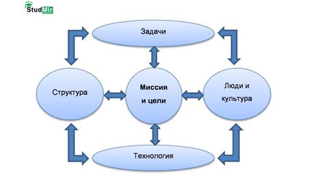 Особенности организации