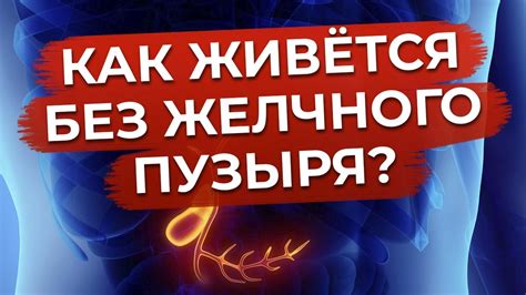 Особенности приема препарата для людей без желчного пузыря