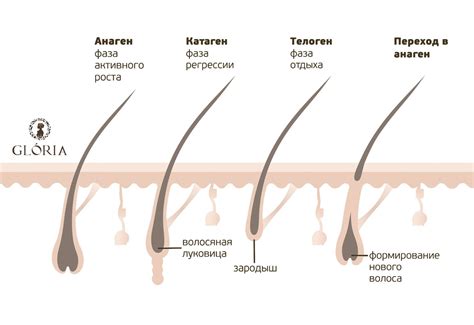 Особенности роста волос у детей и рекомендации специалистов