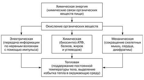 Особенности теплорегуляции у детей