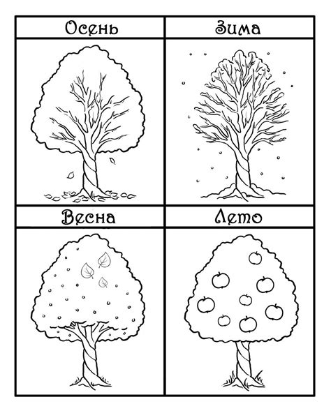 Особенности ухода в разное время года