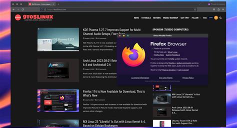 Особенности Mozilla Firefox