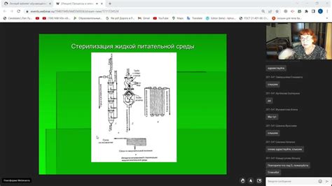 Отжимка и экстракция