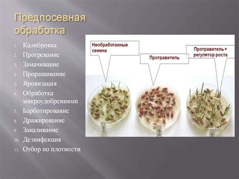 Откуда приходят семена