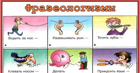 Отличие от других фразеологизмов