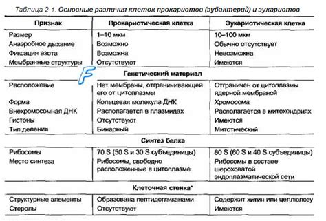 Отличия между стенозом и окклюзией