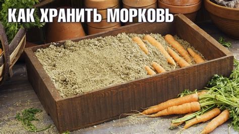 Отложенное хранение в песке