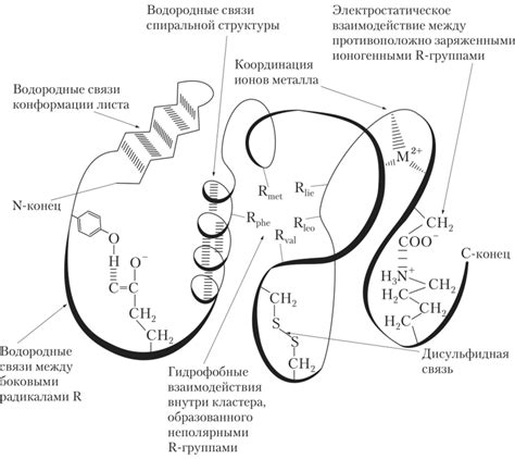 Отображение связей и взаимодействий