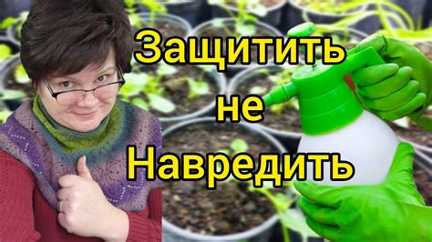 Отталкивание вредителей растениями